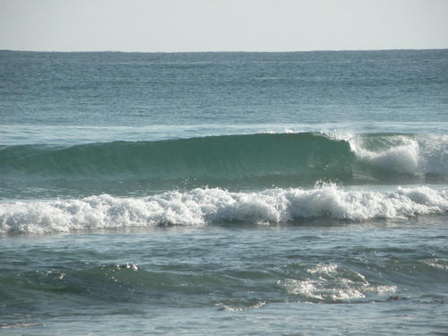 DSCN1644.jpg