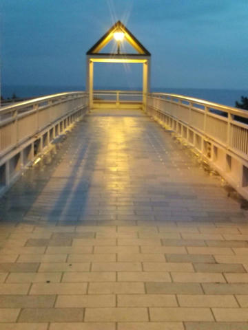 F1010034.jpg