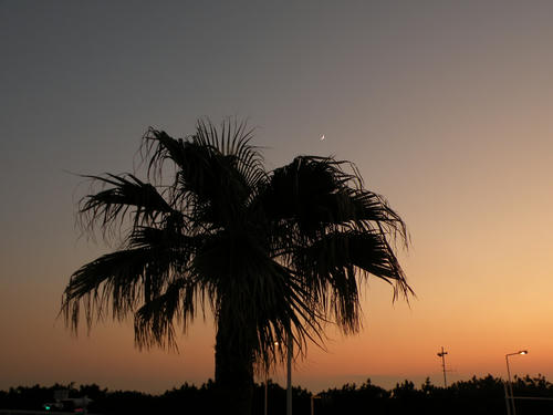 DSCN2099.JPG