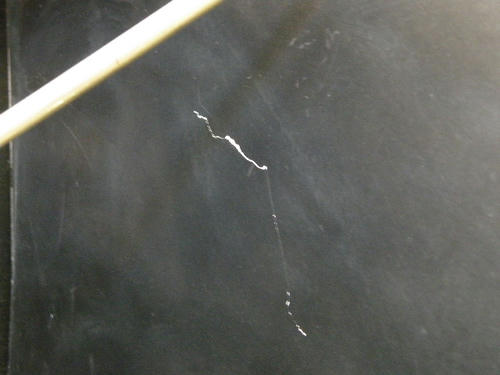 DSCN2466.JPG