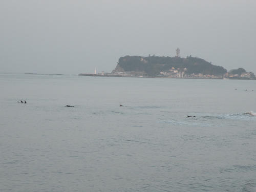 DSCN2739.JPG