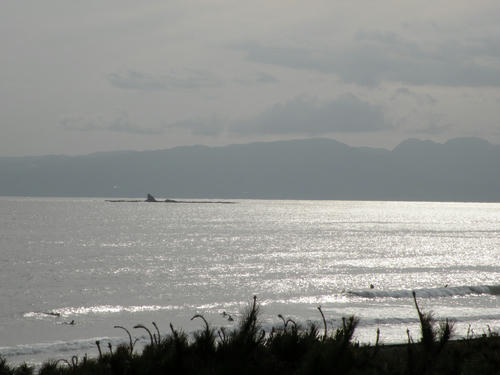 DSCN2755.JPG
