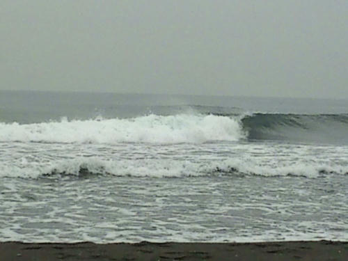 F1010041.jpg