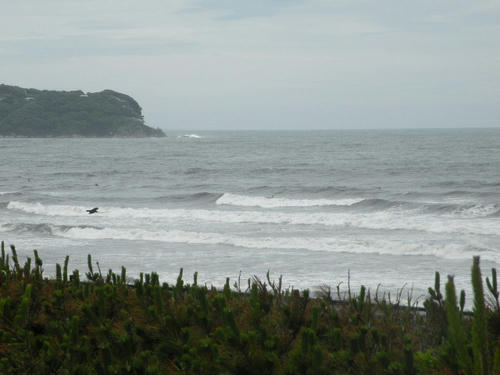 DSCN2843.JPG