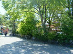 白川郷８６
