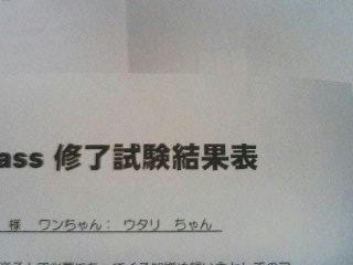 29e70b0cjpeg