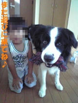 a637f71cjpeg