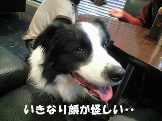 748cd06f.jpg