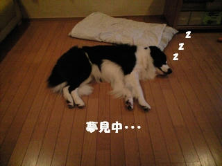 c75f244b.jpg