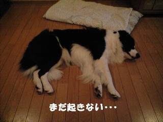 c8355006.jpg