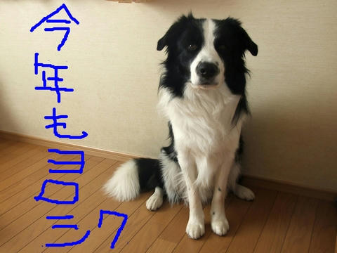 107a99fdjpeg