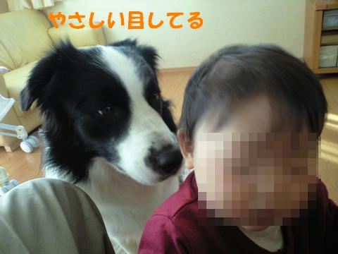 573b9d4cjpeg