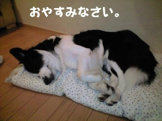 5d161b5cjpeg