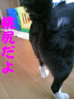 18c630d7jpeg