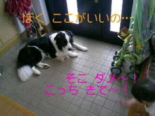 22808b31jpeg