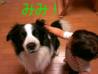 f86194b2.jpeg