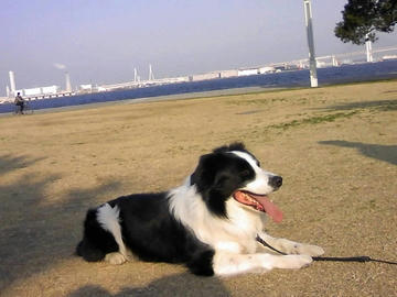 ML_TS3L0148.jpg