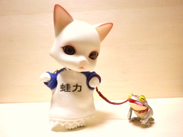 IMGP1278.JPG
