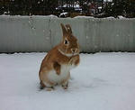 20080203141654.jpg
