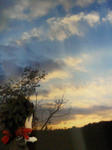 CA330237.JPG