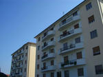 CIMG0803.jpg