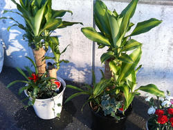 20060416_02.jpg