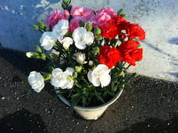 20060416_03.jpg