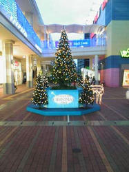 クリスマス2008_02