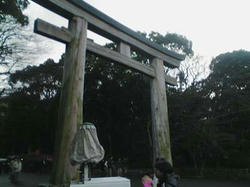 護国神社鳥居