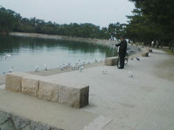 小戸公園20080406_02