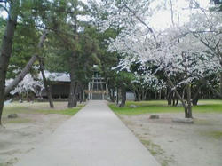 小戸公園20080406_03