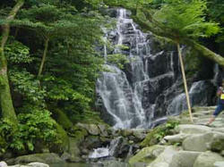 白糸の滝_09