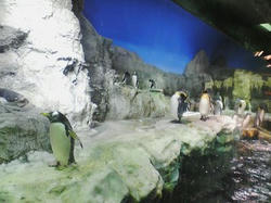 20080825_08