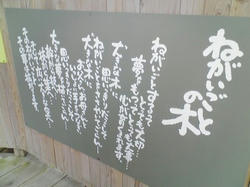 セントレジャー城島高原20081113_03