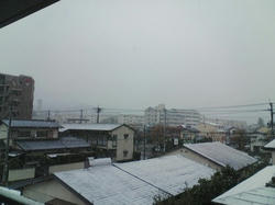 200812月雪