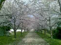 20100327_01