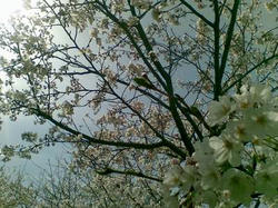 20100327_03