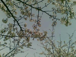 20100327_04