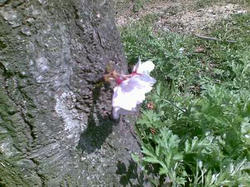 20100327_05
