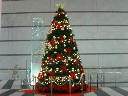 20041203_02