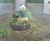 20050815_01