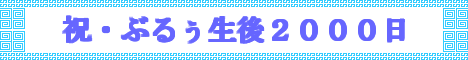祝・ぶるぅ生後２０００日！