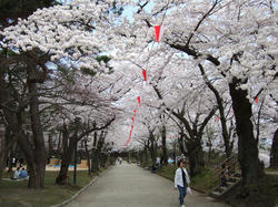 S0501.jpg