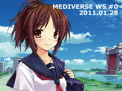 20110128_mediverse_ws_0_img.jpg