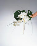mil87079-s.JPG