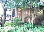 d437d5e2.jpg