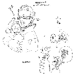 ff12_cid_07.gif
