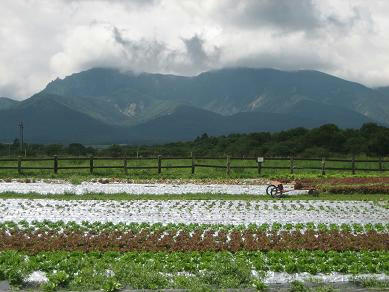 natuyasumi-03.JPG