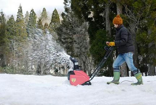 snowking.JPG
