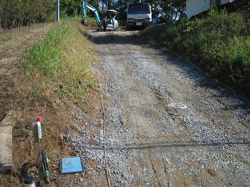 31e4d584.JPG